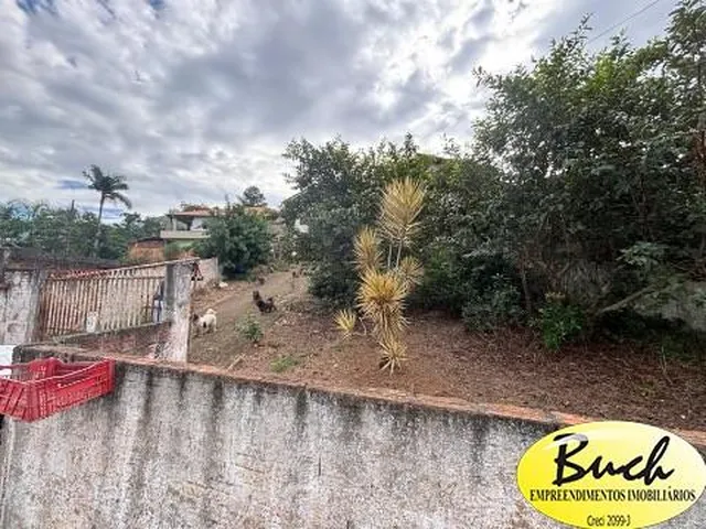 Imagem 6: Venda Terreno Bairro Itaum - Buch Imoveis