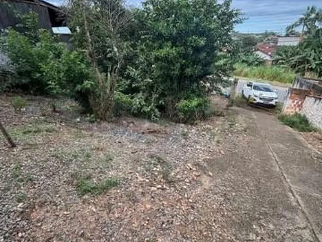 Imagem 4: Venda Terreno Bairro Itaum - Buch Imoveis