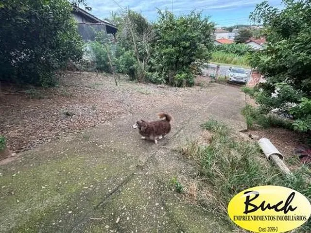 Imagem 7: Venda Terreno Bairro Itaum - Buch Imoveis