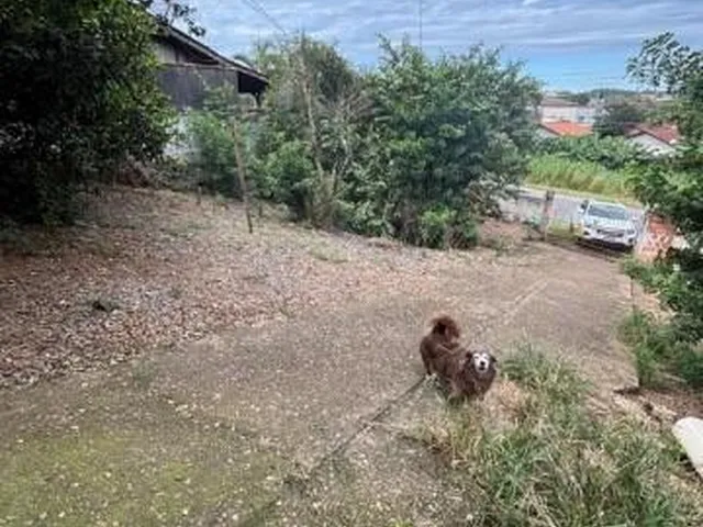 Imagem 2: Venda Terreno Bairro Itaum - Buch Imoveis