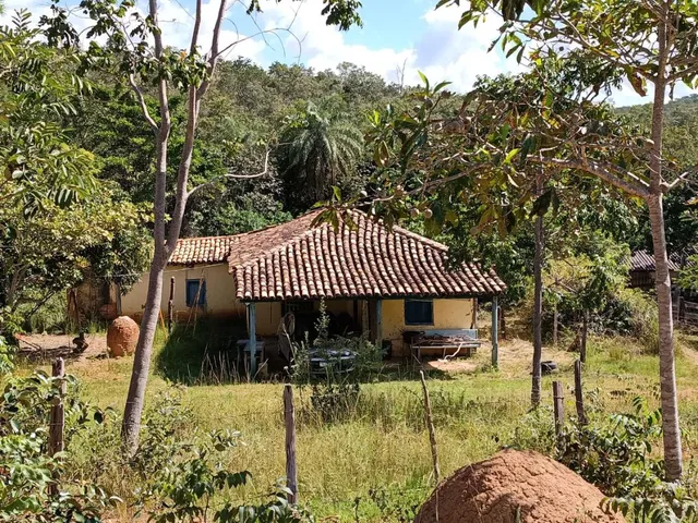 Imagem: Fazenda À Venda em Santana do Pirapama
