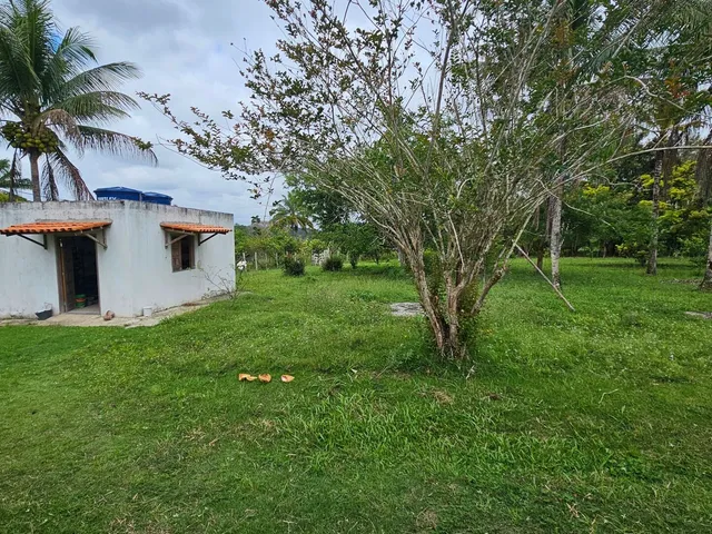 Imagem 9: Fazenda Paracari