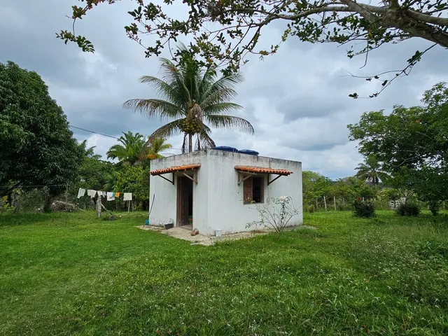 Imagem 12: Fazenda Paracari