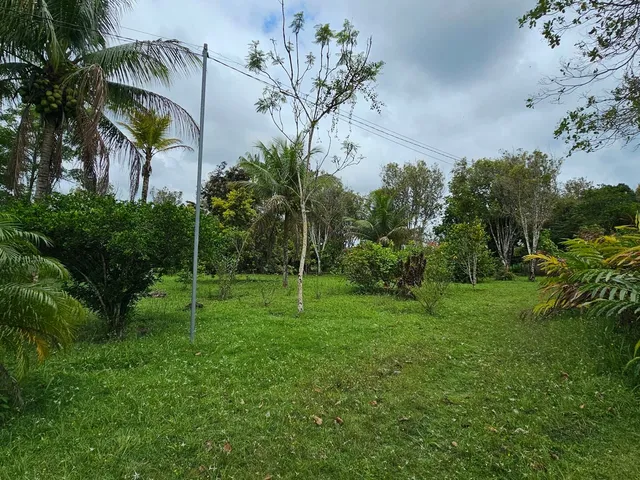 Imagem 14: Fazenda Paracari