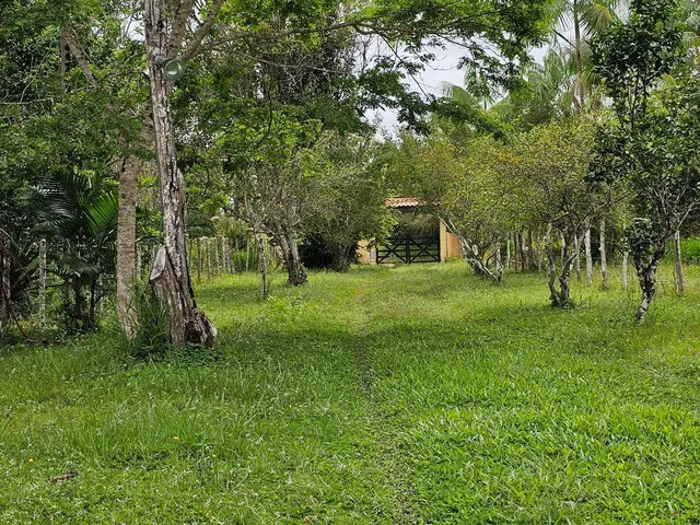 Imagem 16: Fazenda Paracari