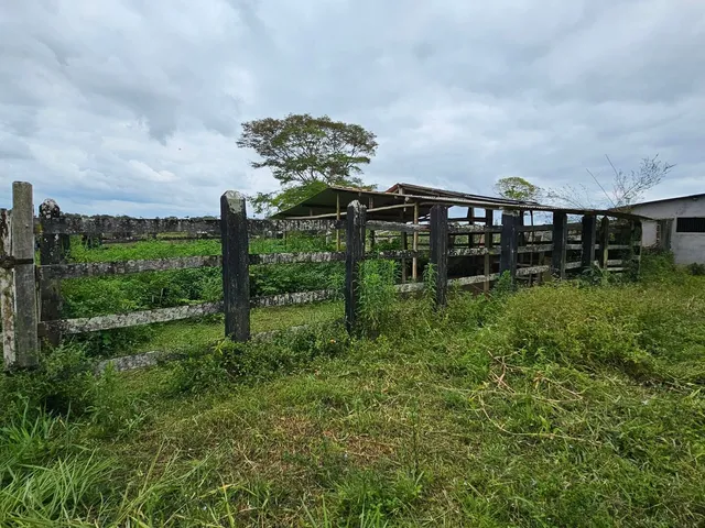 Imagem 6: Fazenda Paracari