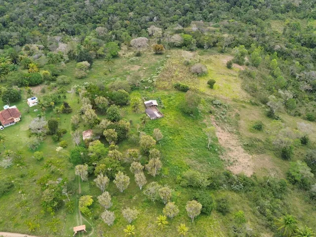 Imagem 10: Fazenda Paracari
