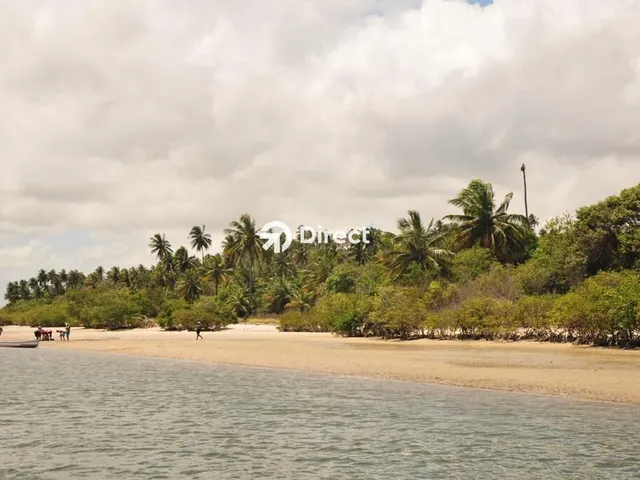 Imagem: Sítio em Ilha de Itamaracá/Pe