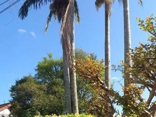 Imagem 2: Casa com 3 Terrenos no Ouro Branco