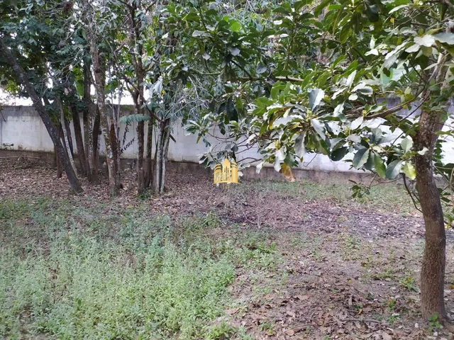 Imagem 16: Sitio no Bairro Cidade Jardim - Esmeraldas