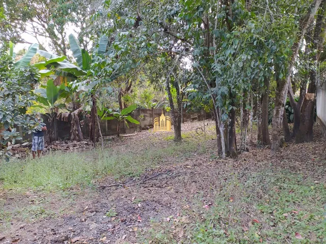 Imagem 5: Sitio no Bairro Cidade Jardim - Esmeraldas
