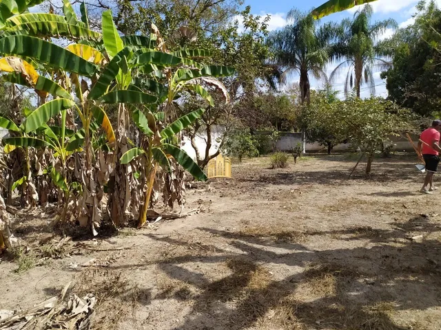 Imagem 8: Sitio no Bairro Cidade Jardim - Esmeraldas