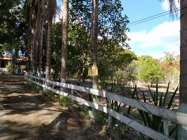 Imagem 15: Sitio no Bairro Cidade Jardim - Esmeraldas
