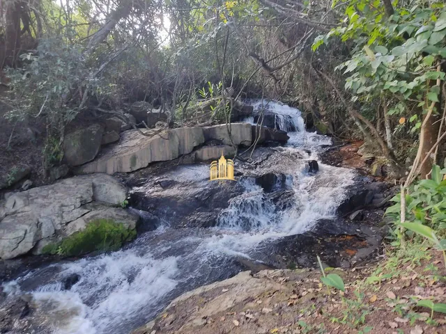 Imagem 11: Fazendinha em Sete Lagoas