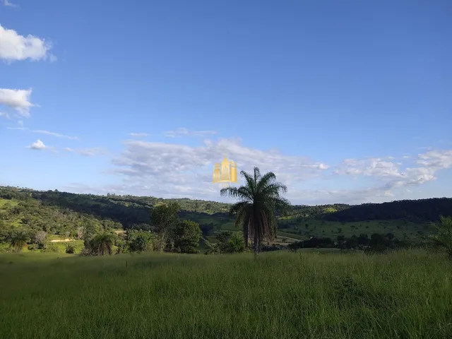 Imagem 13: Fazendinha em Sete Lagoas