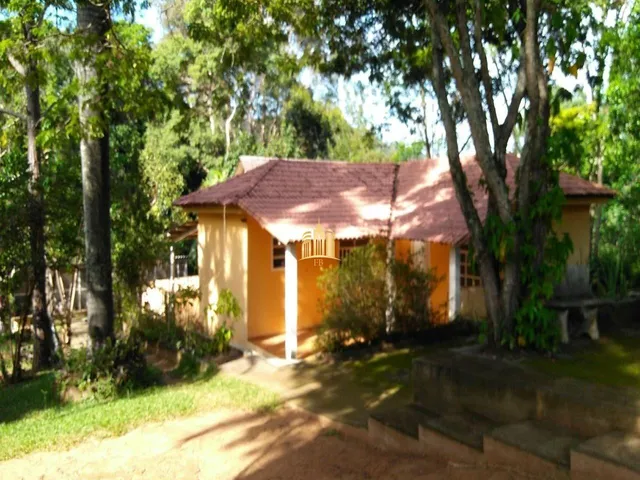 Imagem 9: Sitio em Caracóis - Esmeraldas