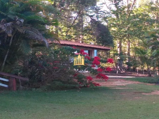Imagem 10: Sitio em Caracóis - Esmeraldas