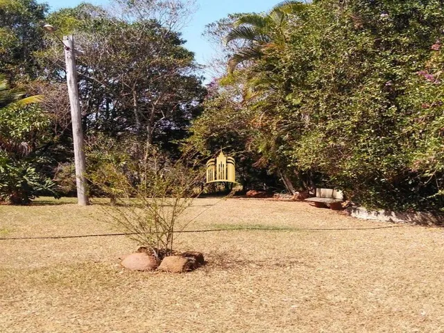 Imagem 6: Sitio em Caracóis - Esmeraldas