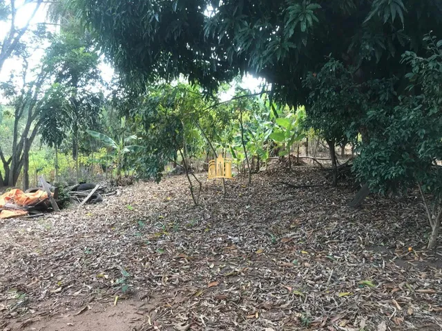 Imagem 4: Sitio no Bairro Caracois - Esmeraldas
