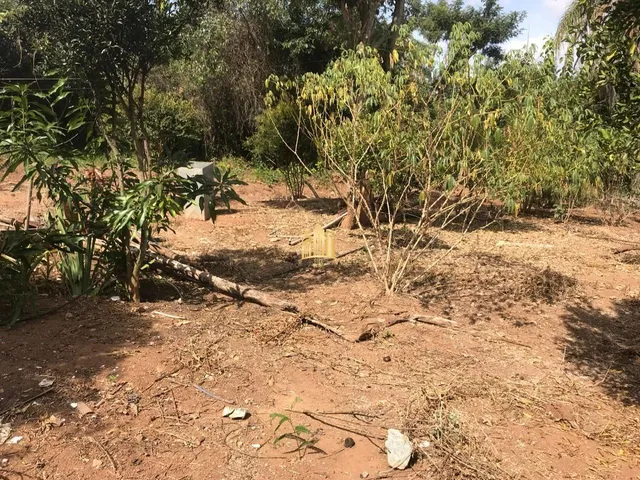Imagem 16: Sitio no Bairro Caracois - Esmeraldas