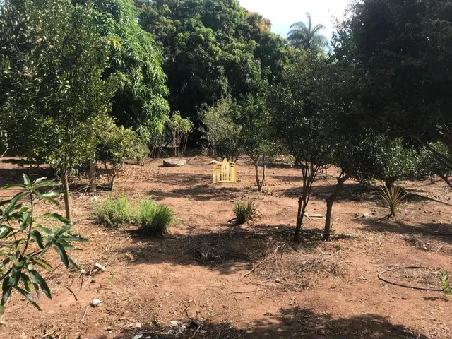 Imagem 12: Sitio no Bairro Caracois - Esmeraldas