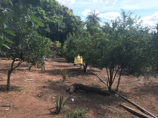 Imagem 2: Sitio no Bairro Caracois - Esmeraldas