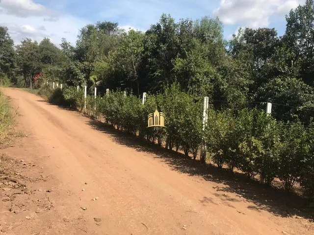 Imagem 13: Sitio no Bairro Caracois - Esmeraldas