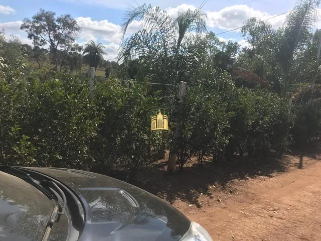 Imagem 5: Sitio no Bairro Caracois - Esmeraldas