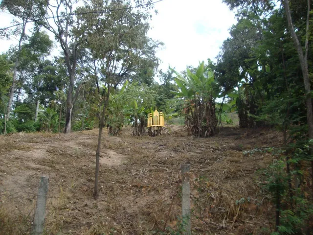 Imagem 7: Chácara À Venda no Condomínio Vale do Ipê Amarelo em Esmeraldas - 4.000 M²