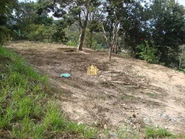 Imagem 11: Chácara À Venda no Condomínio Vale do Ipê Amarelo em Esmeraldas - 4.000 M²