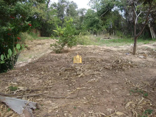 Imagem 2: Chácara À Venda no Condomínio Vale do Ipê Amarelo em Esmeraldas - 4.000 M²