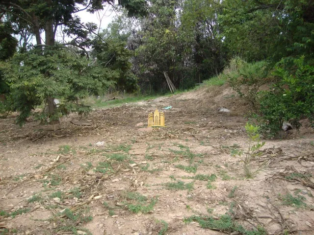 Imagem 5: Chácara À Venda no Condomínio Vale do Ipê Amarelo em Esmeraldas - 4.000 M²