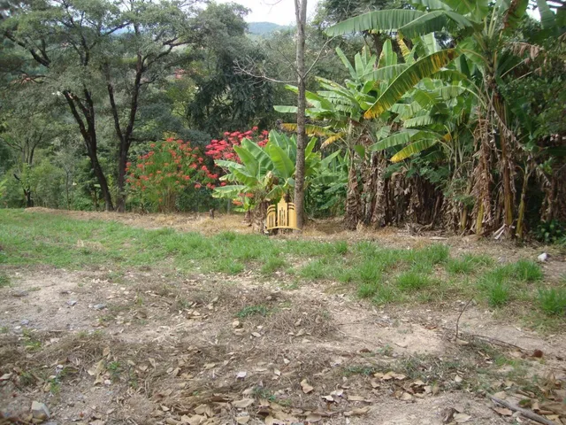Imagem 15: Chácara À Venda no Condomínio Vale do Ipê Amarelo em Esmeraldas - 4.000 M²