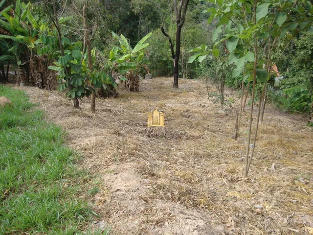 Imagem 13: Chácara À Venda no Condomínio Vale do Ipê Amarelo em Esmeraldas - 4.000 M²