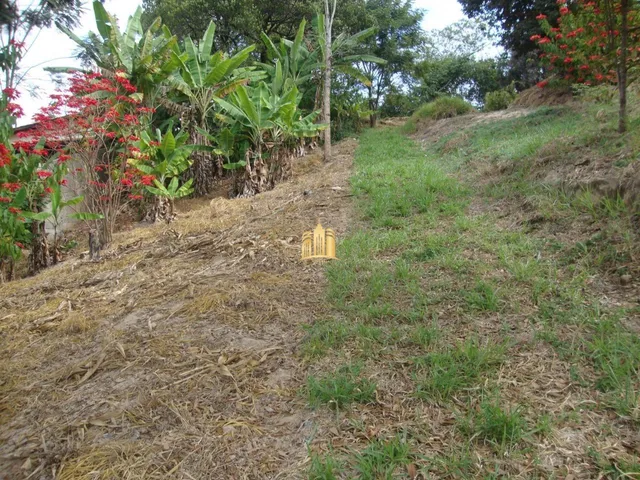 Imagem 3: Chácara À Venda no Condomínio Vale do Ipê Amarelo em Esmeraldas - 4.000 M²