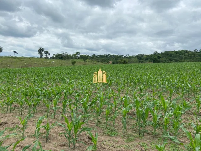 Imagem 5: Fazenda À Venda em Esmeraldas-Mg, São José: 7 Quartos, 4 Salas, 5 Banheiros, 10 Vagas de Garagem, 300M²