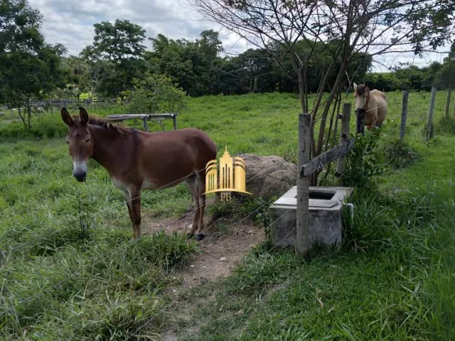 Imagem 11: Fazenda À Venda em Esmeraldas-Mg, São José: 7 Quartos, 4 Salas, 5 Banheiros, 10 Vagas de Garagem, 300M²