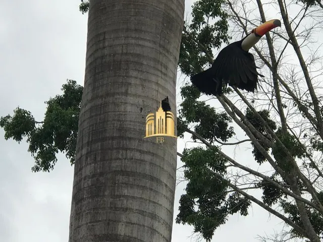Imagem 14: Fazenda À Venda em Esmeraldas-Mg, São José: 7 Quartos, 4 Salas, 5 Banheiros, 10 Vagas de Garagem, 300M²