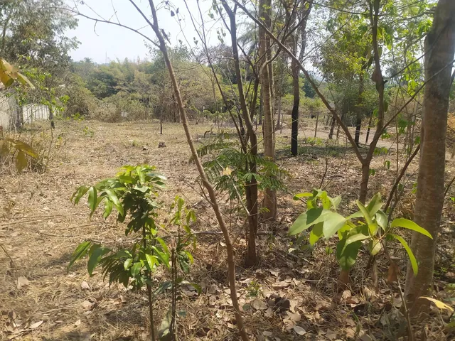 Imagem: Lote em Esmeraldas