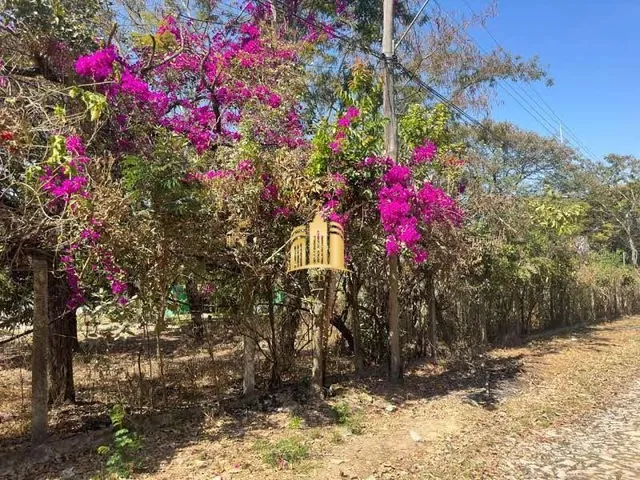 Imagem 3: Lote no Bairro Dumaville - Esmeraldas