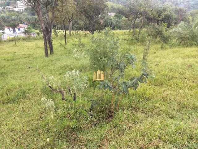 Imagem 4: Terreno Comercial em Novo Retiro - Esmeraldas