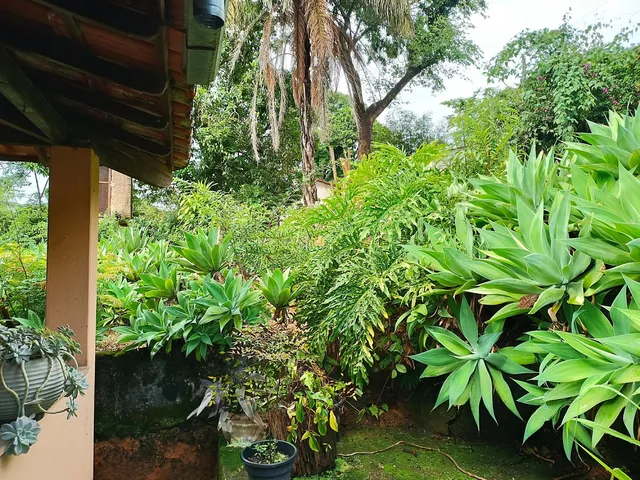 Imagem 11: Sítio À Venda na Região de Andiroba, Esmeraldas - 3.000 M² R$380.000,00