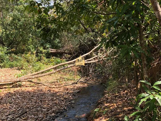 Imagem 15: Terreno À Venda em Jaboticatubas-Mg, Bairro Fazenda Santo Antonio, 40.000M² de Área. Venha Conferir!
