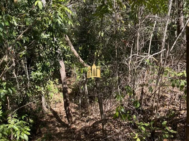 Imagem 9: Terreno À Venda em Jaboticatubas-Mg, Bairro Fazenda Santo Antonio, 40.000M² de Área. Venha Conferir!