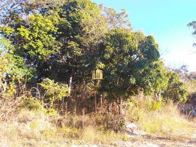 Imagem 2: Sítio Comercial À Venda no Condomínio Vale do Ipê Amarelo em Esmeraldas - 3.080 M²: Oportunidade Única!
