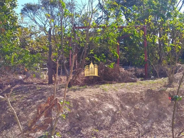 Imagem 7: Sítio Comercial À Venda no Condomínio Vale do Ipê Amarelo em Esmeraldas - 3.080 M²: Oportunidade Única!