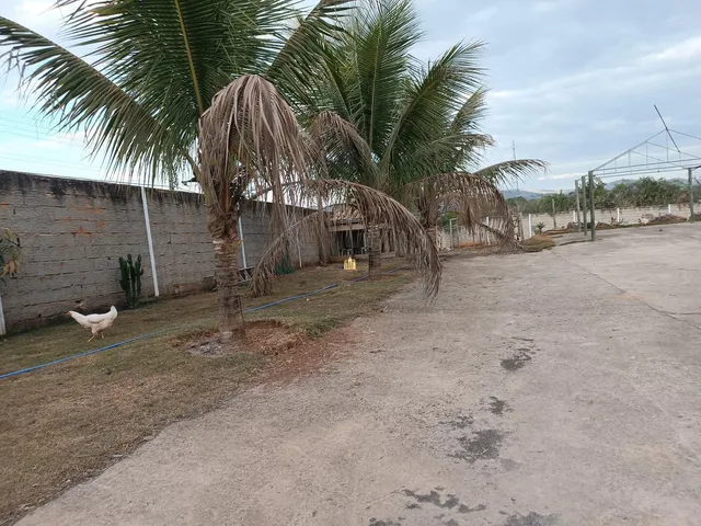 Imagem 13: 0 Fazenda / sítio com 4 dormitórios