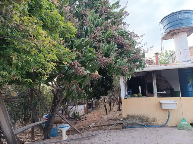 Imagem 7: 0 Fazenda / sítio com 4 dormitórios