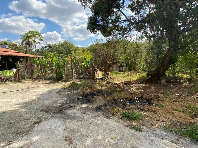 Imagem 10: 0 Fazenda / sítio com 6 dormitórios