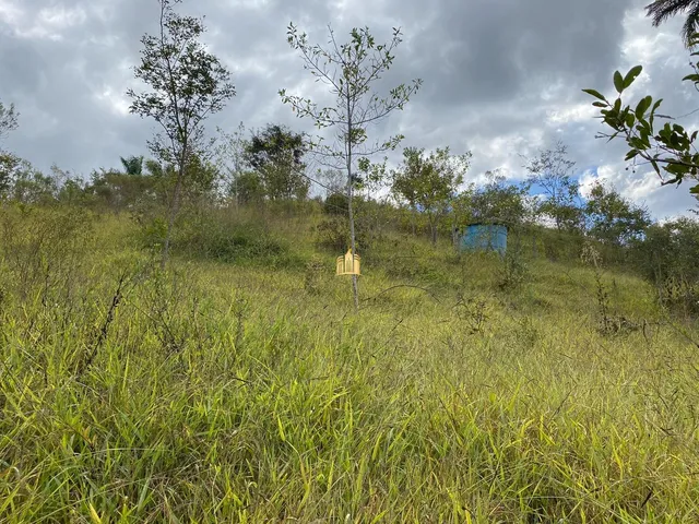 Imagem 3: Lindo Sítio À Venda no Condomínio Topázio em Esmeraldas com Porteira Fechada